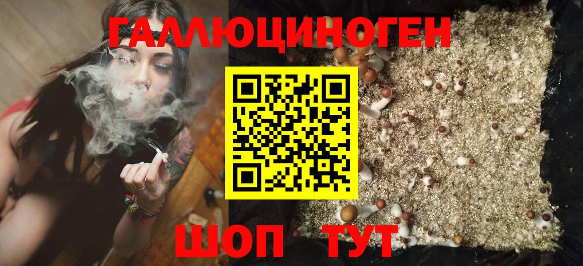 Галлюциногенные грибы мицелий Ступино
